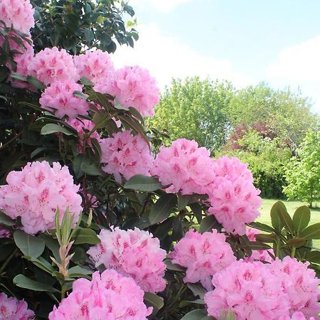 Le Clos Des Roses Saint-Règle Екстериор снимка