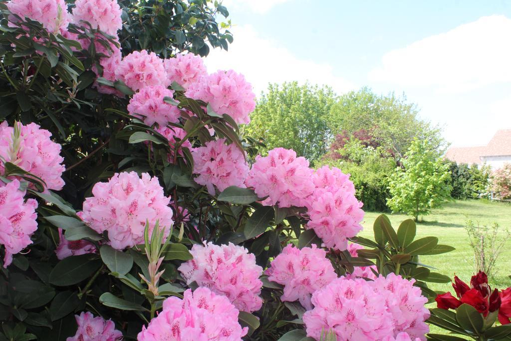 Le Clos Des Roses Saint-Règle Екстериор снимка